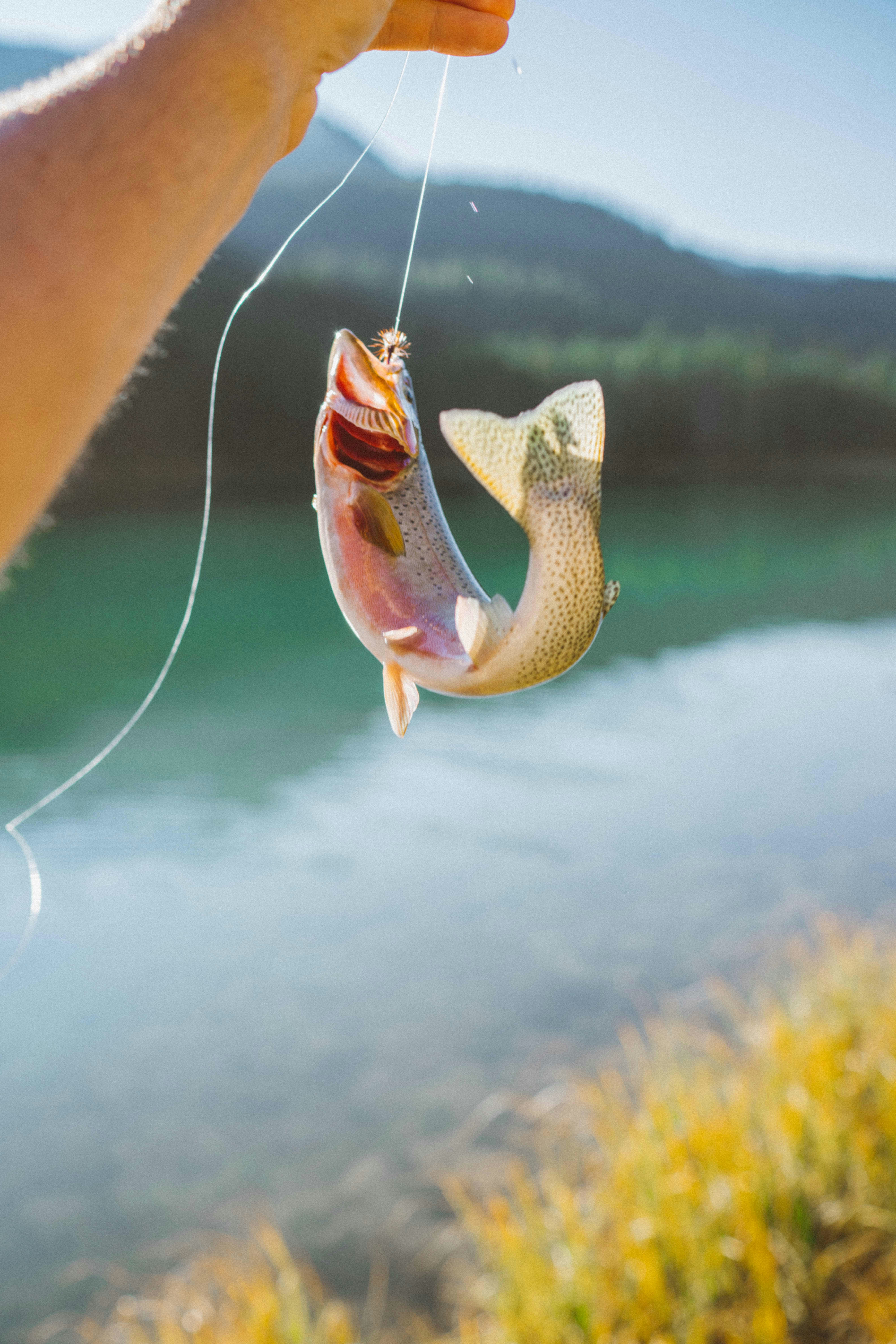 Wes Walker - Fly Fishing in River
